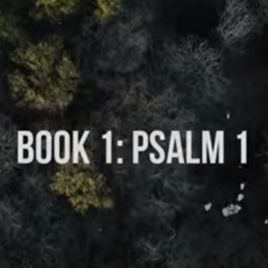 Book of Psalms