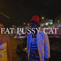 Fat Pussy Cat