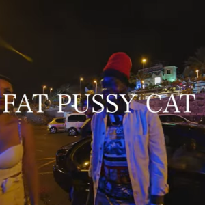 Fat Pussy Cat