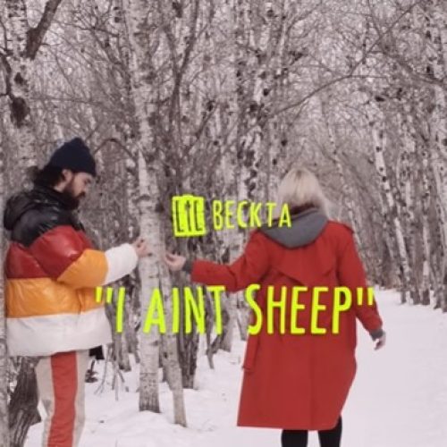 I AIN'T SHEEP