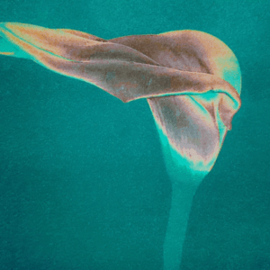 Screenshot 2025-11-21 135139