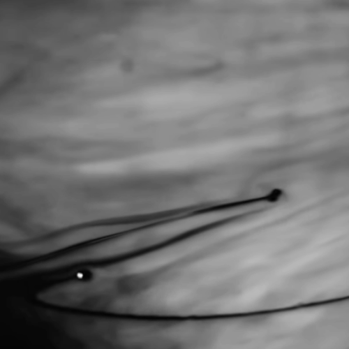 Screenshot 2025-12-02 120438