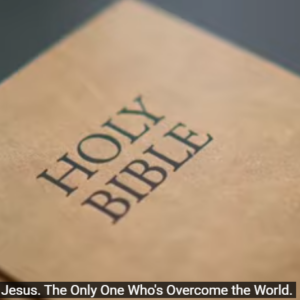 Screenshot 2025-12-29 112705