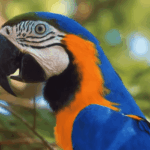 Screenshot 2026-03-13 124623