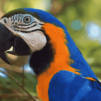 Screenshot 2026-03-13 124623