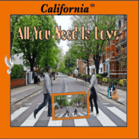 Screenshot 2026-04-21 153143