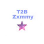 T2B Zxmmy