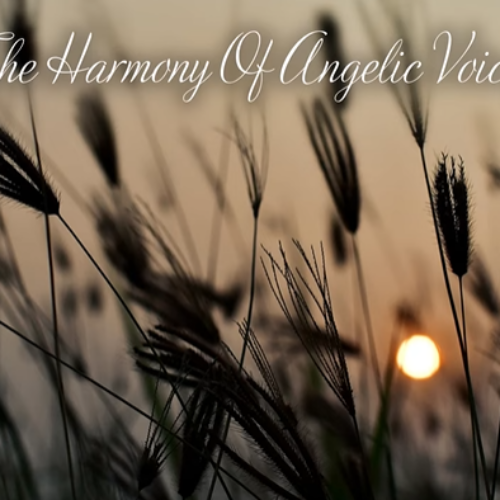 The Harmony Of Angelic Voices