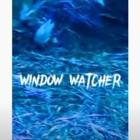 Window Watcher
