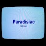 channels4_profile (2)